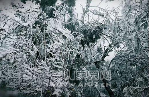 微信图片_20190103082556.jpg