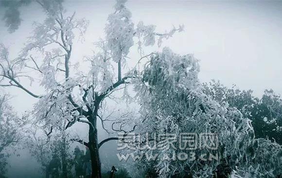 微信图片_20190103082552.jpg