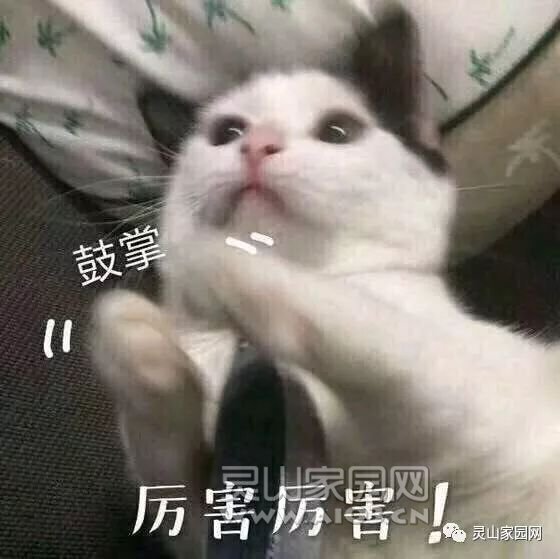 51eb4afa133b3b05095ee976b4964f83.jpg