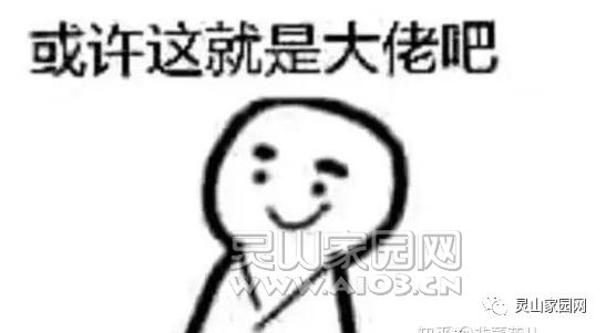 9dfe99be55d87346893377a57a6d3d00.jpg