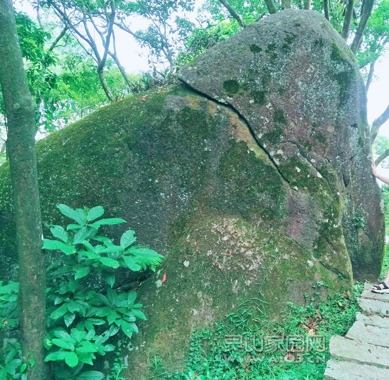 微信图片_20190817162044.jpg