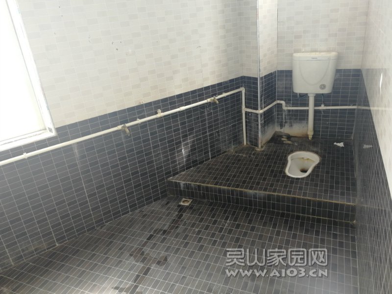 151854v6dw06iemwmnwbra.jpg