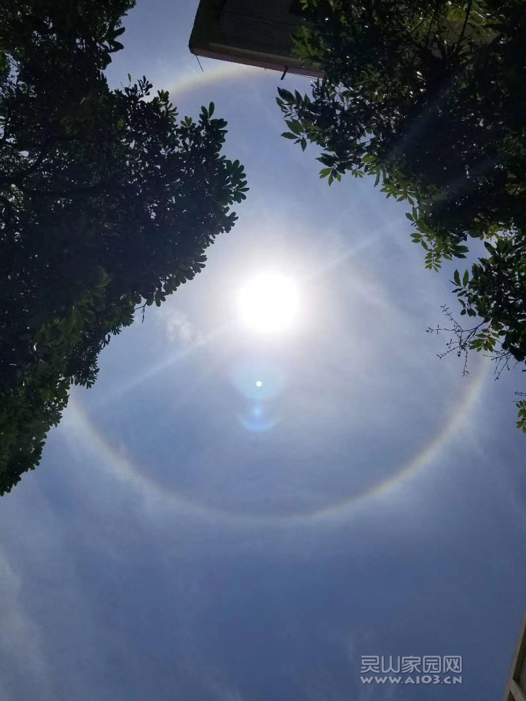 微信图片_20200429155831.jpg