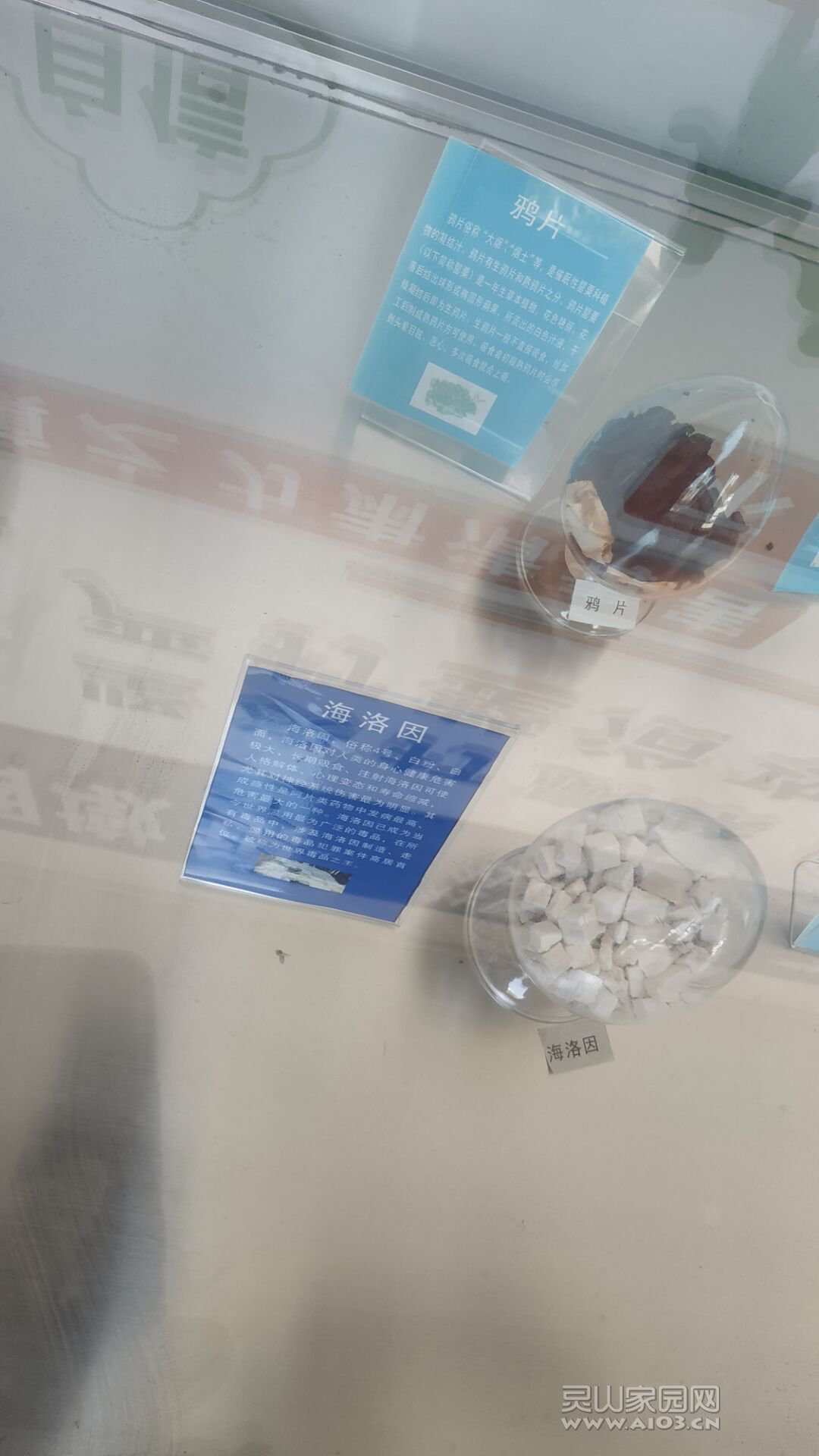 QQ图片20200723081251.jpg