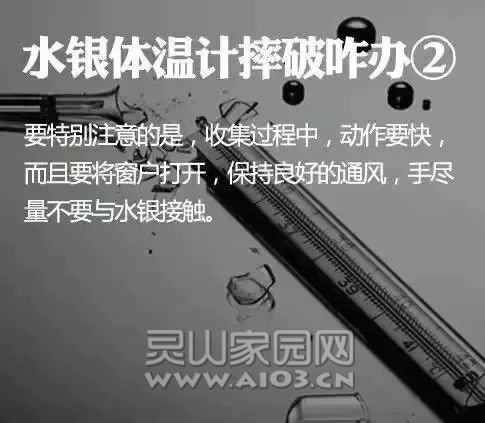 d2f6fb5ea8a368e7c14b3cd1a6b9498d.jpg