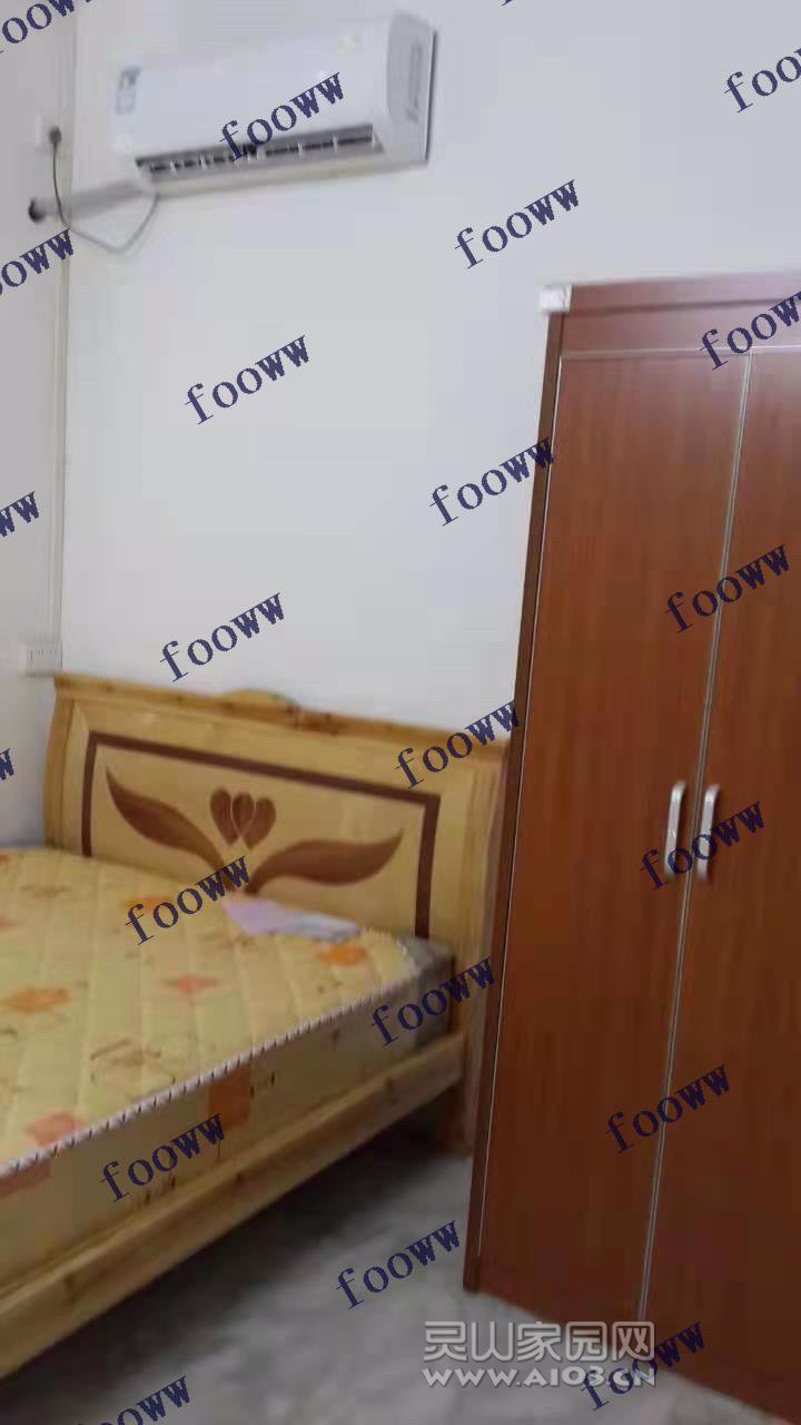 02425_梓木金荔_无标签_20211112155345.jpg