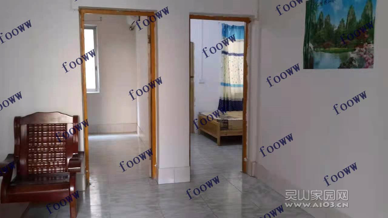 02425_梓木金荔_无标签_20211112160238.jpg