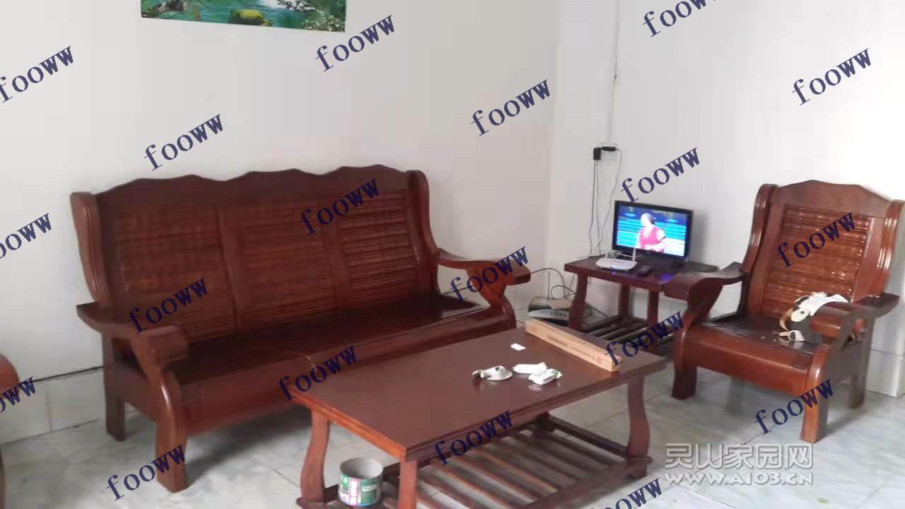 梓木金荔.jpg