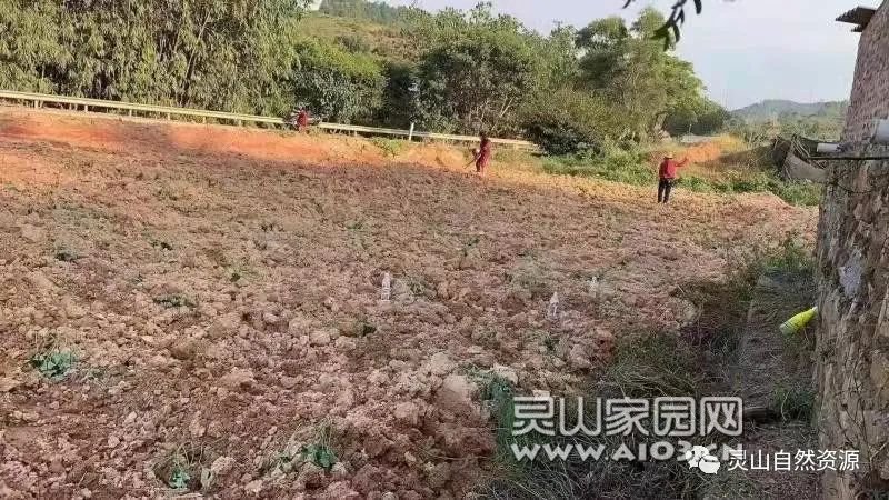 b1a8a711e51091689b01e81a958bd7d3.jpg