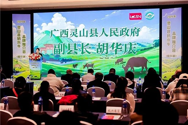 2024年灵山县奶水牛品牌推介会在哈尔滨举办