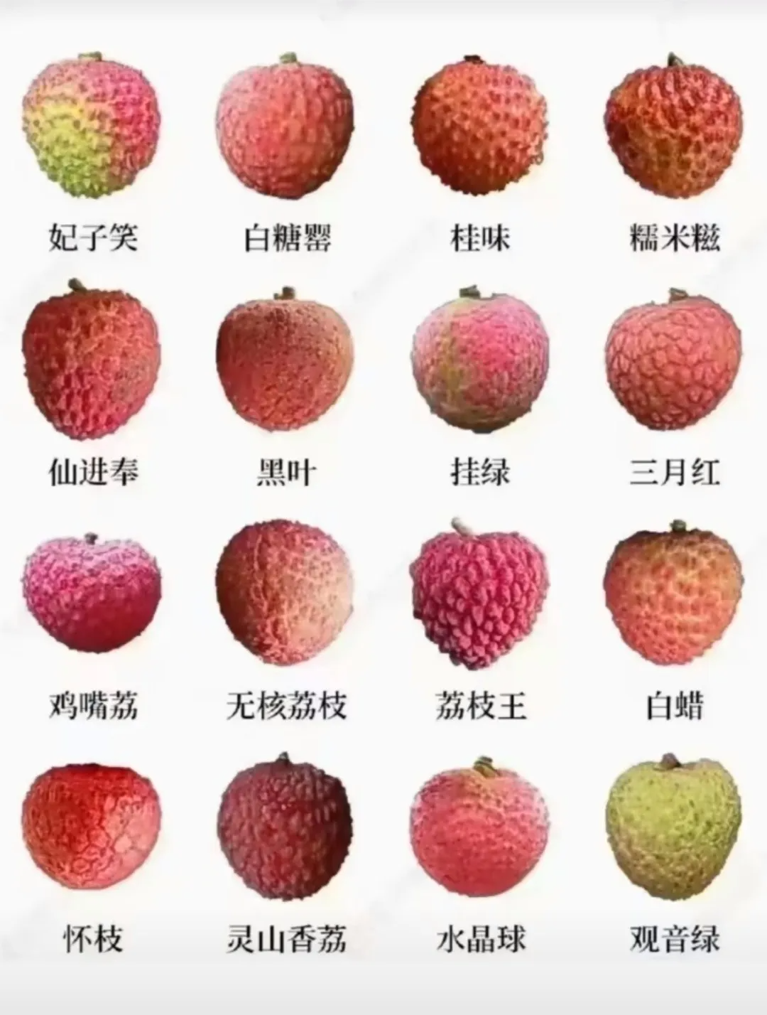 85e0ec82b32fa19c0e9dc7dc009160c0.png