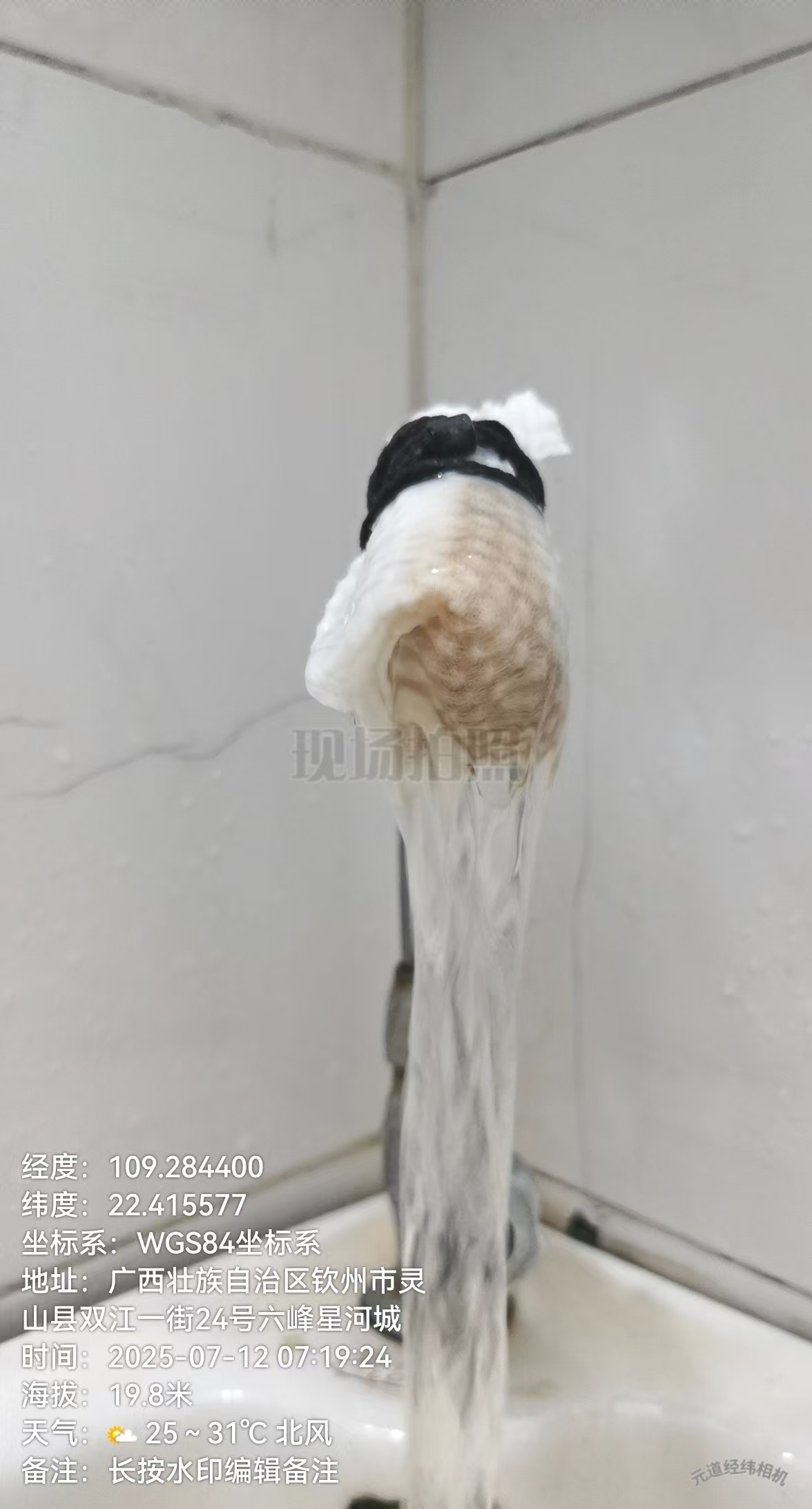 黄