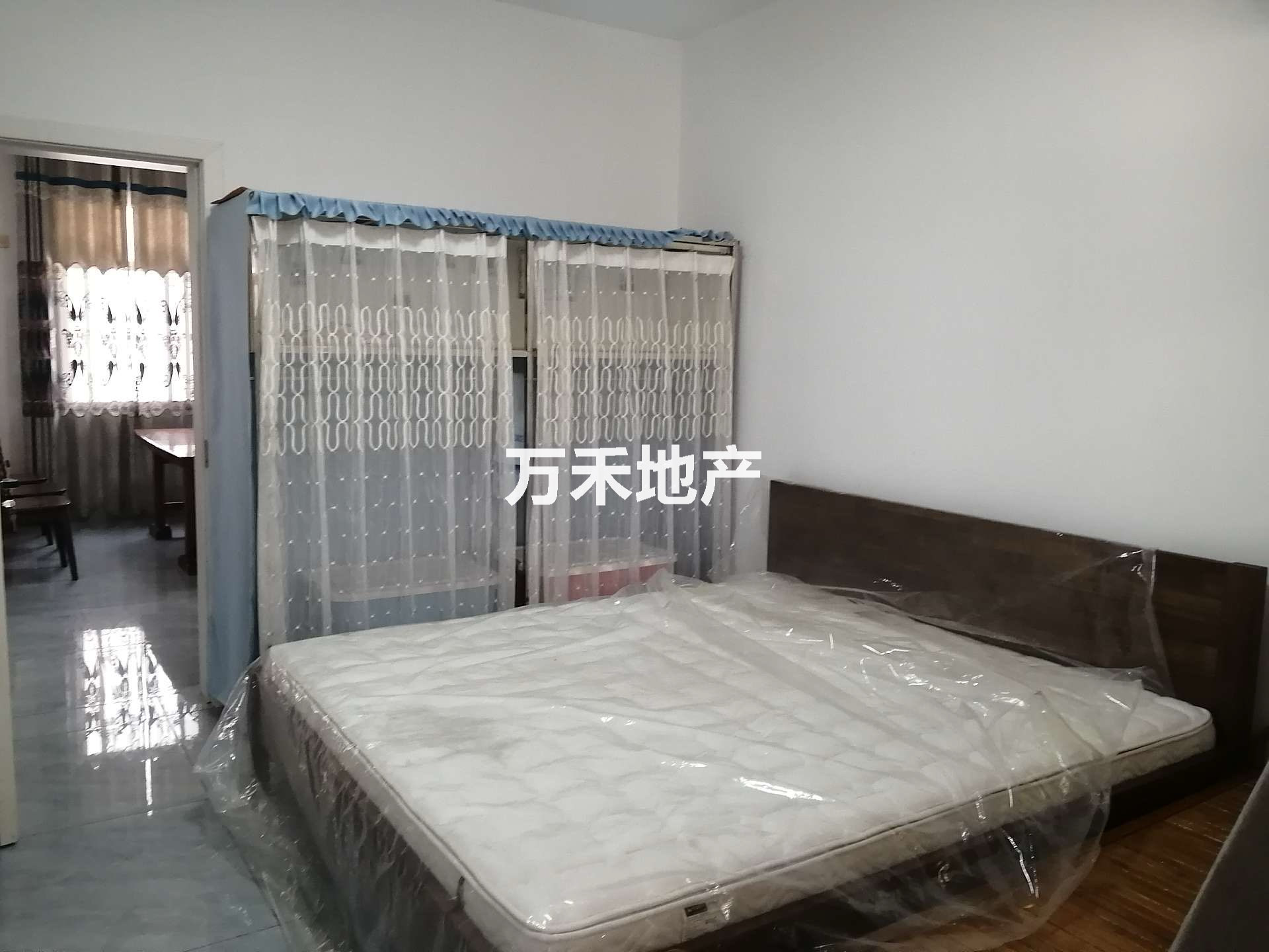 IMG_9277.jpeg
