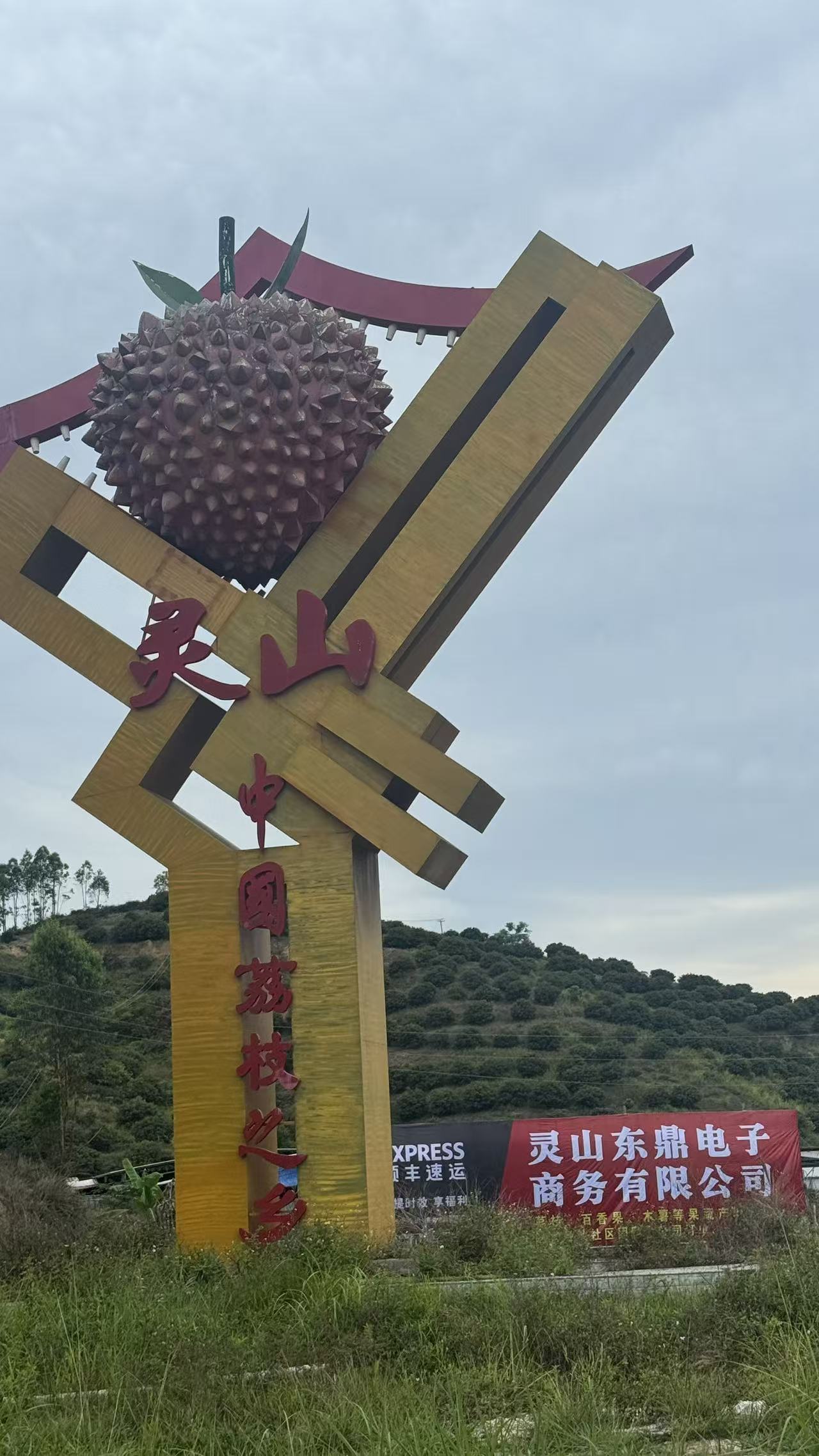 龙武大荔枝冷库招~~~电商客服！！！