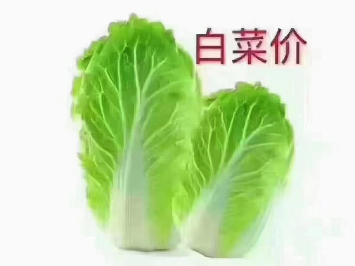 城南新区164平大5房带车位，急售46.8万（06605）18877782388