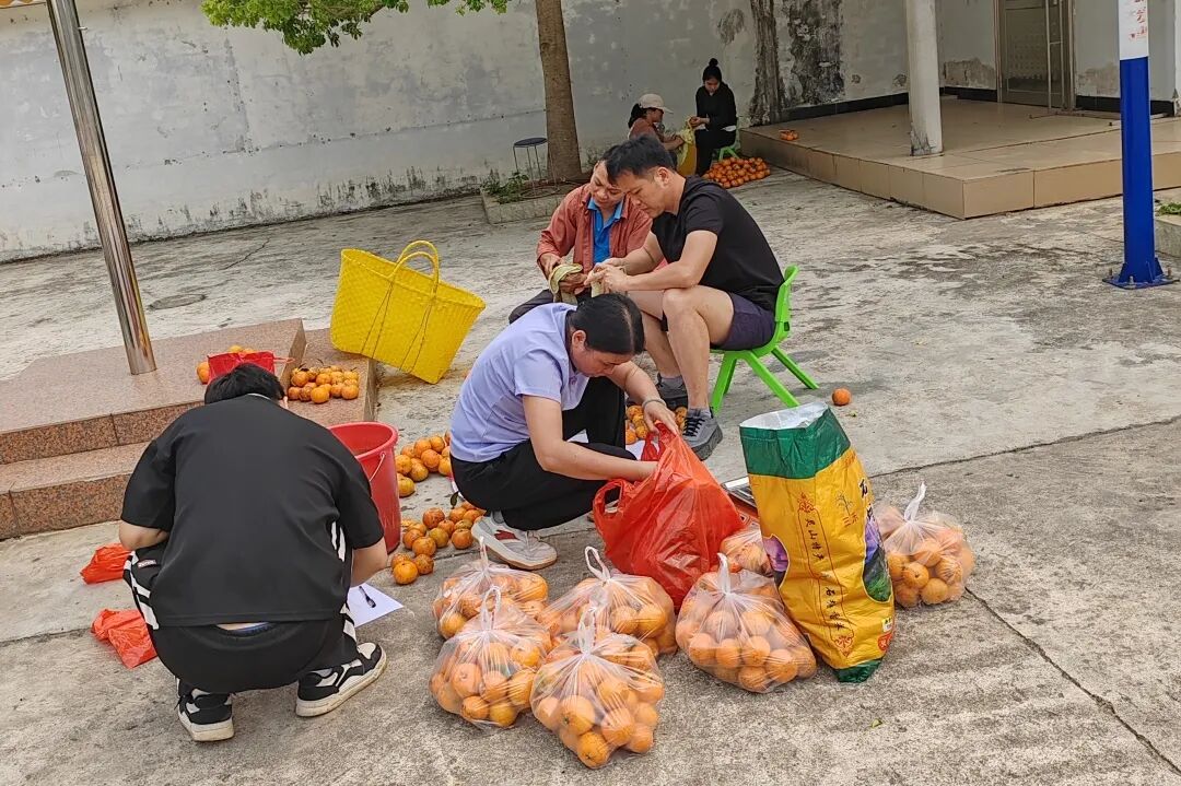 新圩镇：清明值守护青山 人大代表显担当